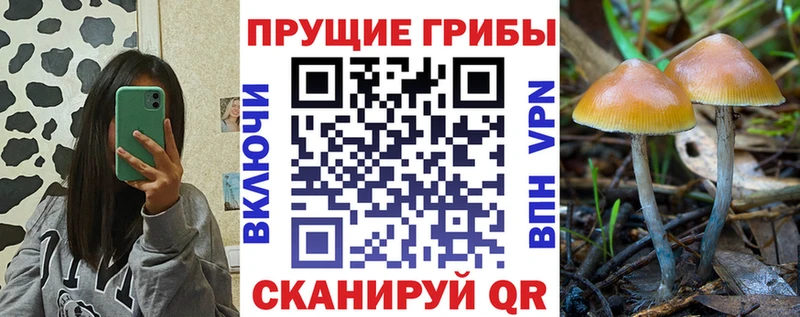 Галлюциногенные грибы Magic Shrooms  Феодосия 